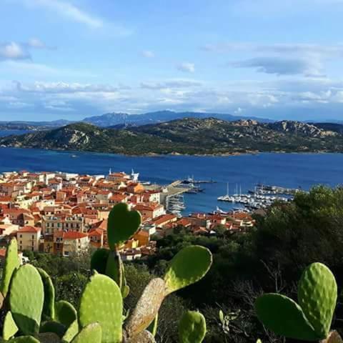 Sweet Home La Maddalena La Maddalena  Eksteriør bilde